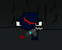SALRR Er