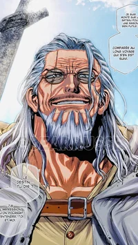 OnePiece a Rayleigh 