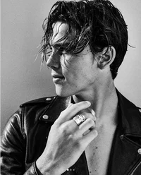 Bodyguard - Assassin