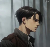 Levi Ackerman 