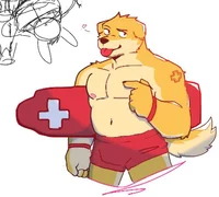 Lifeguard