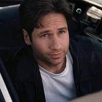 Fox Mulder