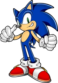 Sonic the hedgehog 