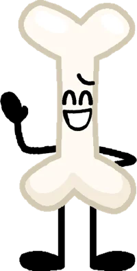Bone