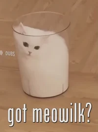 Meowmilk