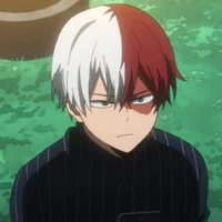 Shoto todoroki