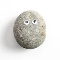 Your pet rock