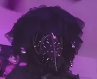 The Widow