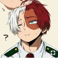 Shoto Todoroki