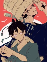 Luffy and Law