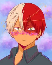 Shoto Todoroki 