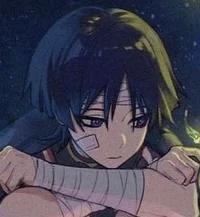 Roommate Scara v3REV