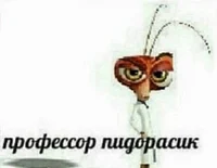Профессор педорасик