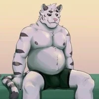 Fat winter tiger