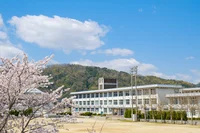 Japan School 