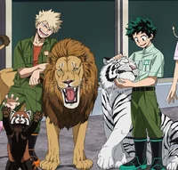 boku no hero