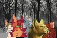 Warrior cats