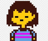 Frisk the human