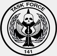 Task Force 141