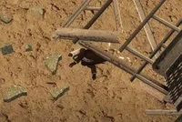 Injured Brown Camerm