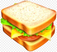 An Idiot Sandwich 