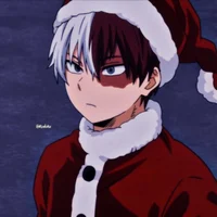 Shoto Todoroki