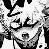 SUS Bakugou 