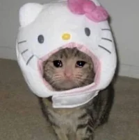 Does it look like ik