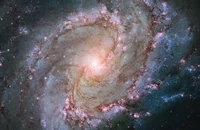 Pinwheel Galaxy