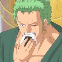 Timeskip Zoro