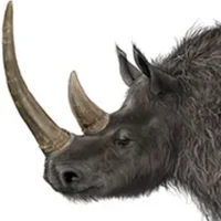 Woolly Rhinoceros