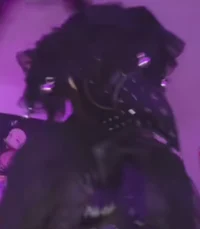 The Widow