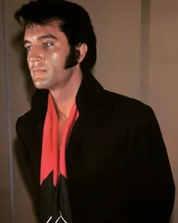 Elvis Presley 