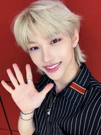 Lee felix