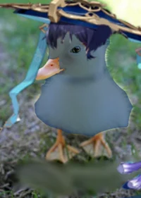 Scara duck