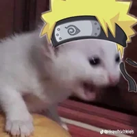 Narutocheeeeese