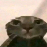 Scandeviousdinglebot