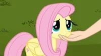 Fluttershy