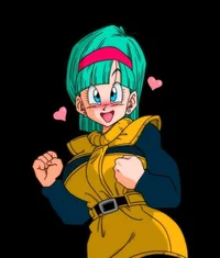 Bulma Briefs