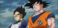 Goku and Vegeta 