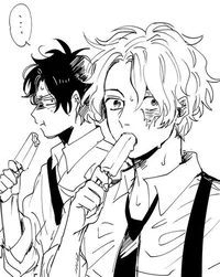 Ace and Sabo 
