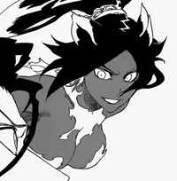 Yoruichi Shihouin 