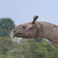 Indricotherium