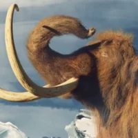 Woolly Mammoth