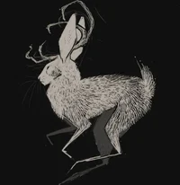 Jackalope