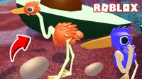 Roblox BIRD