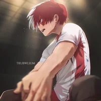 Shoto Todoroki