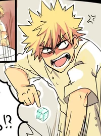 Bakugou Ramsay 