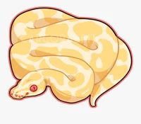 Your Pet Python