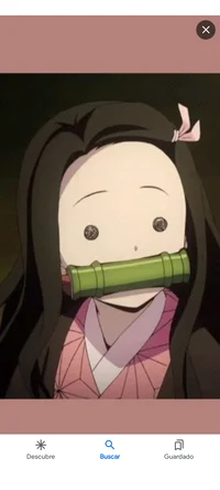Nezuko Kamado 